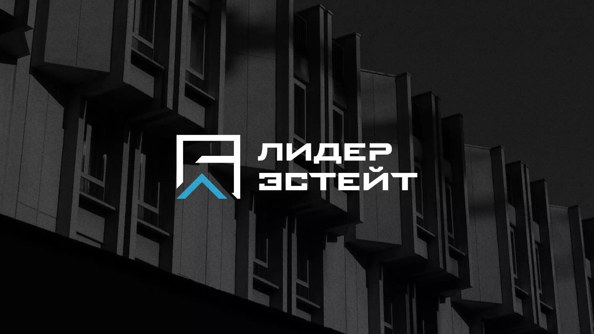 Разработка логотипа агентства недвижимости «Лидер Эстейт» в Исилькуле
